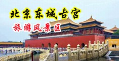 深夜熟女多毛穴穴中国北京-东城古宫旅游风景区